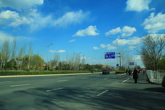園博園大道