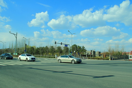園博園大道