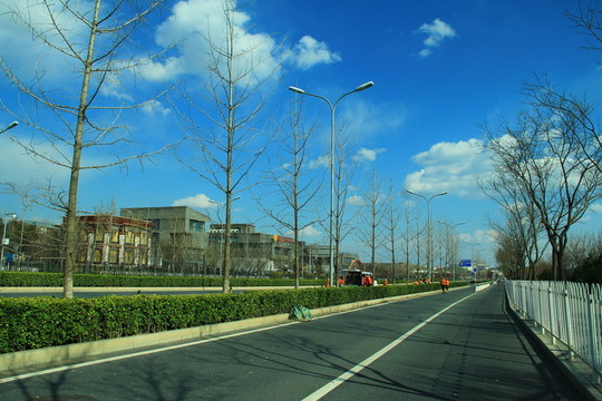園博園大道