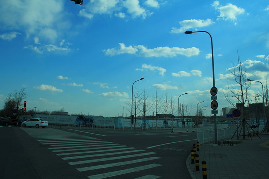 園博大道
