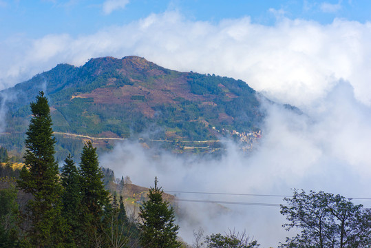 美麗鄉(xiāng)村