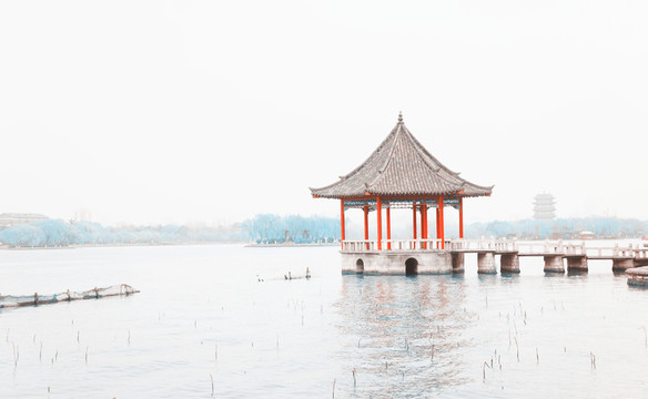 湖泊 水面亭子 大明湖