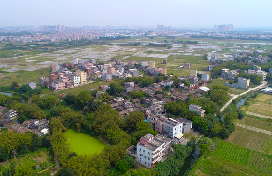 美麗鄉(xiāng)村 新農村