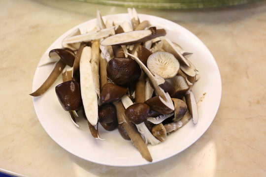 雞樅菌