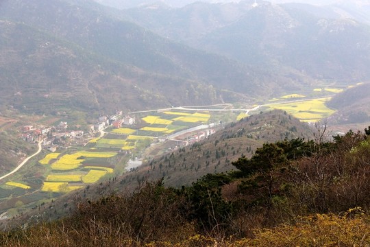 龍傳寨風景