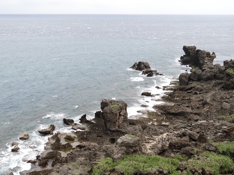 貓鼻頭07