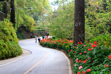 植物園