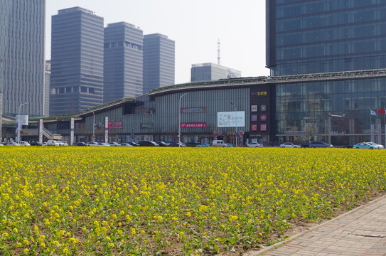塘沽MSD