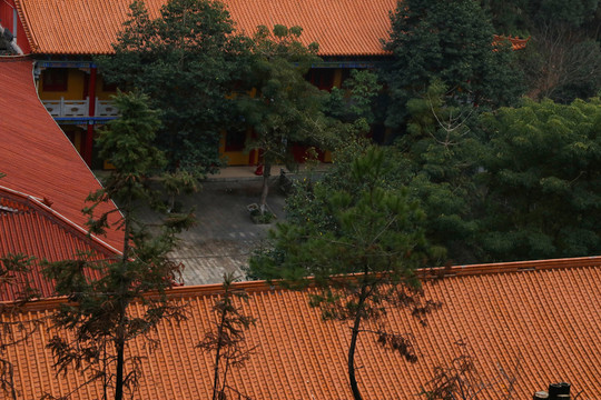 庭院 古代 建筑 歷史 房子