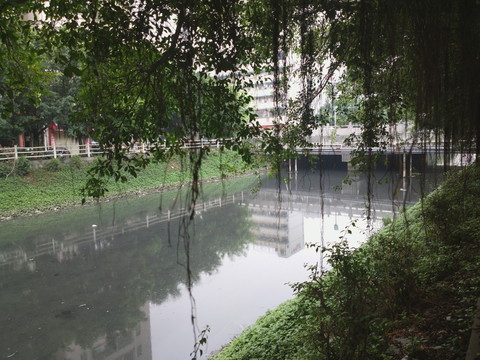 水污染
