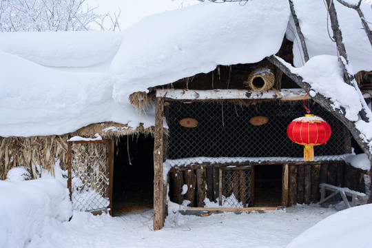 中國雪鄉(xiāng) 紅燈籠