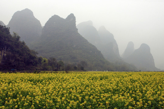 遇龍河 高格