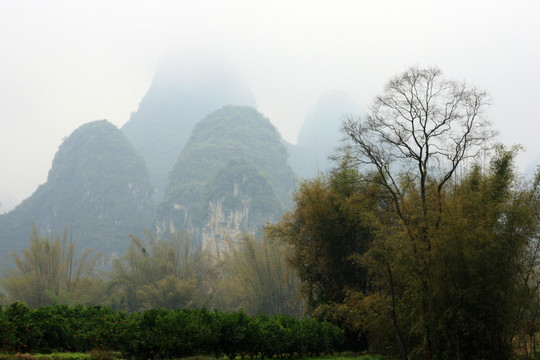 遇龍河自然風(fēng)光 高格