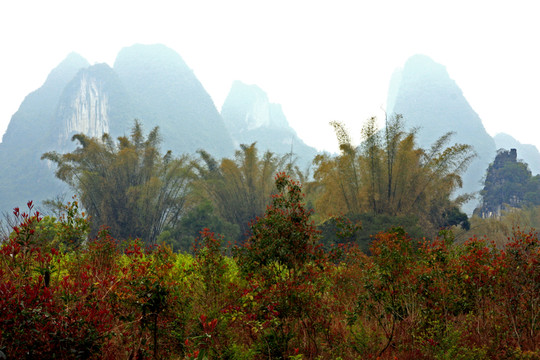 遇龍河風(fēng)光 高格