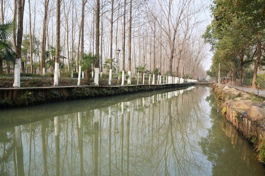 合肥濱湖森林濕地公園