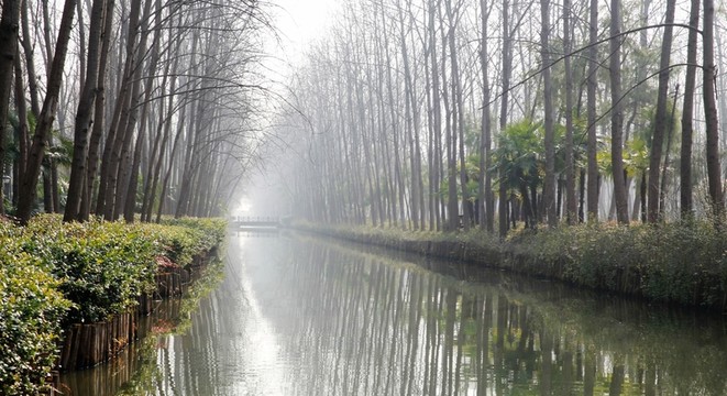 合肥濱湖國家森林公園