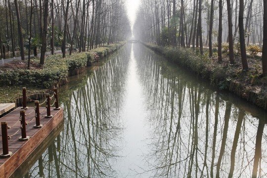 合肥濱湖森林濕地公園