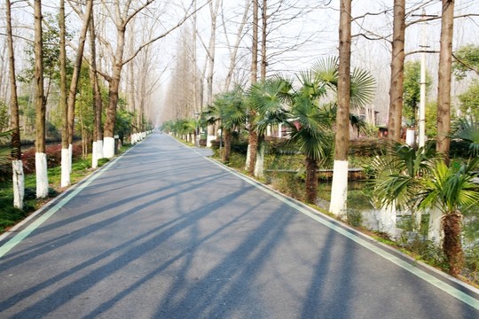 樹林綠道