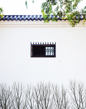 白墻 樹影 江南