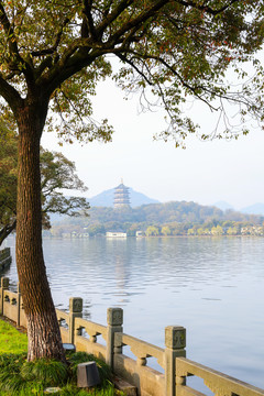杭州西湖雷峰塔 杭州西湖 杭州