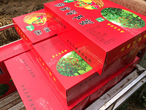 碭山梨