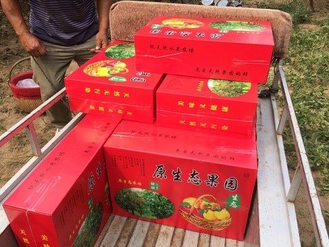 碭山梨