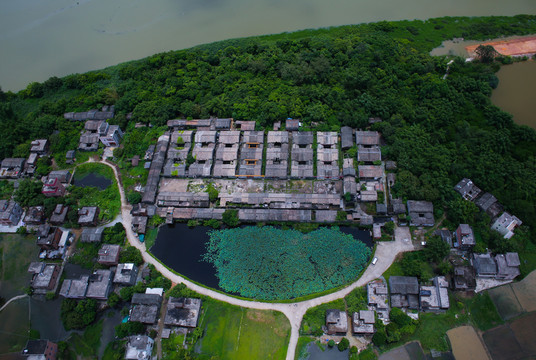 大洲村 古村落 荷塘