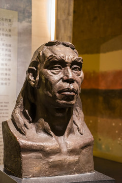 人類進(jìn)化歷程