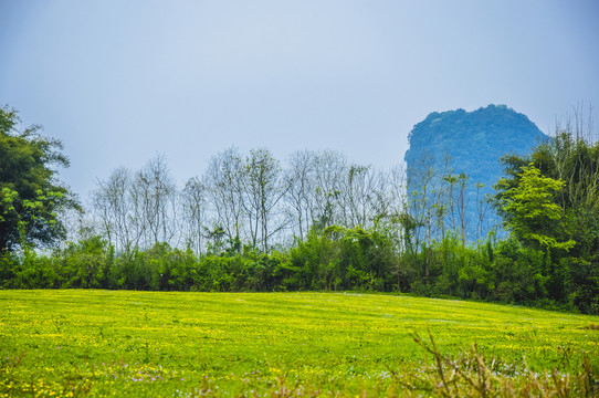 田園春色