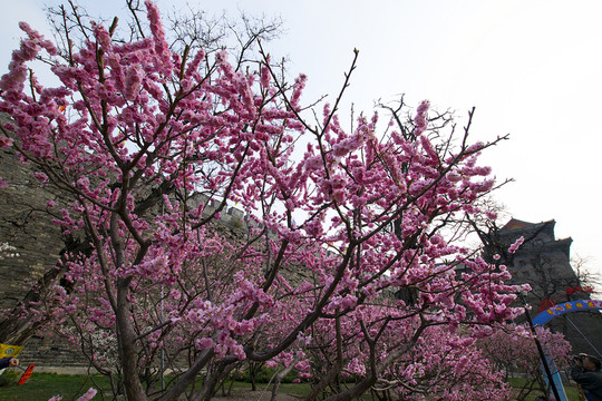 北京明城墻遺址公園