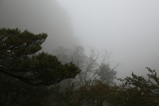 山林晨霧
