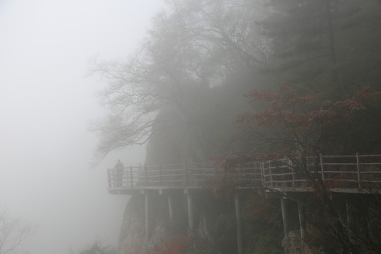 老君山晨霧
