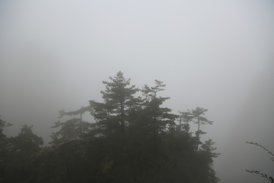 山林晨霧