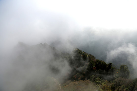 高山晨霧