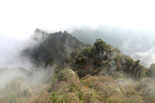 高山晨霧