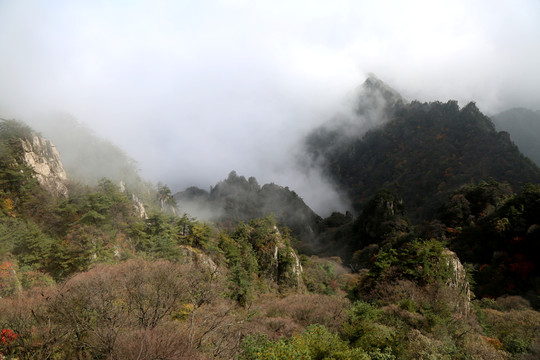 山間云霧