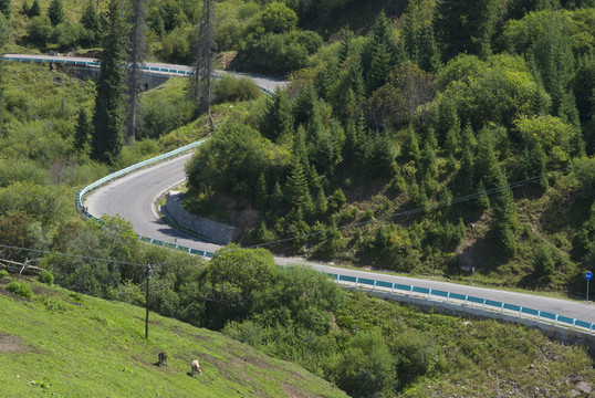 山林