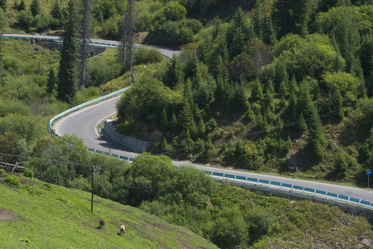 山路
