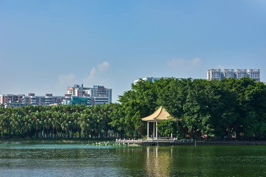 廣州流化湖公園