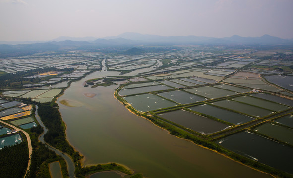 生態(tài)養(yǎng)殖 綠色水產(chǎn)