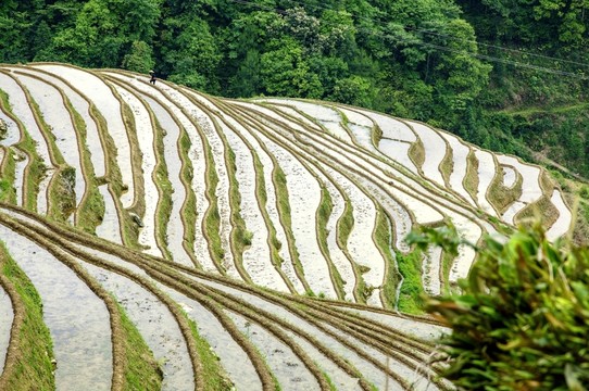 梯田風(fēng)光