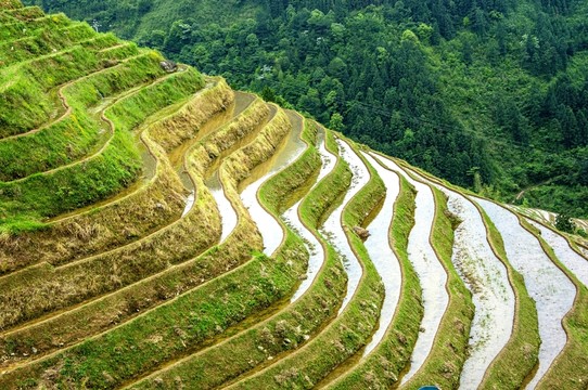 梯田風(fēng)光