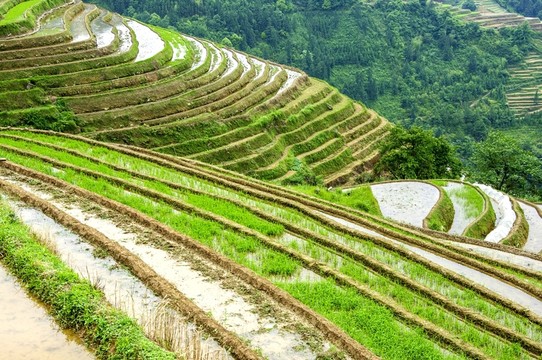 梯田風(fēng)光