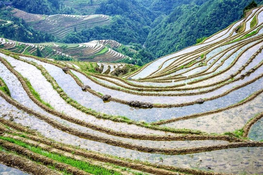 梯田風(fēng)光