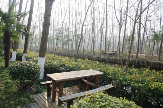 森林公園休息木座椅