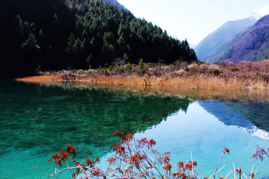 九寨溝