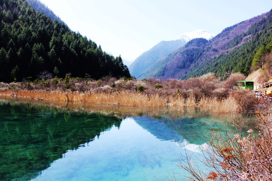 九寨溝