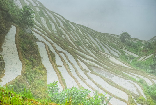 梯田風(fēng)光