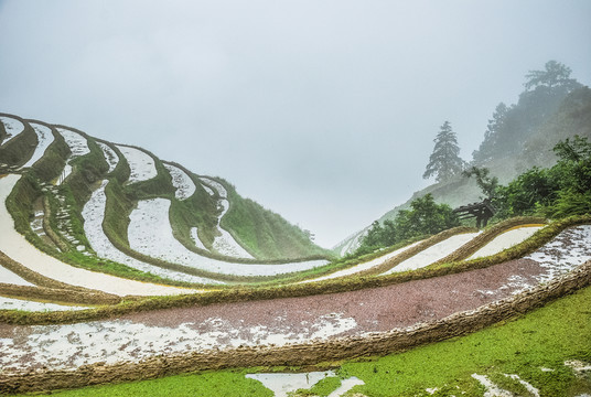 梯田風(fēng)光