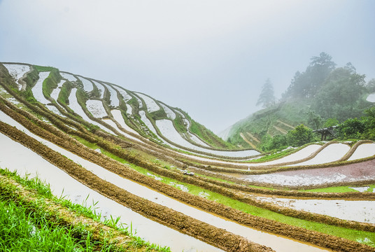 梯田風(fēng)光